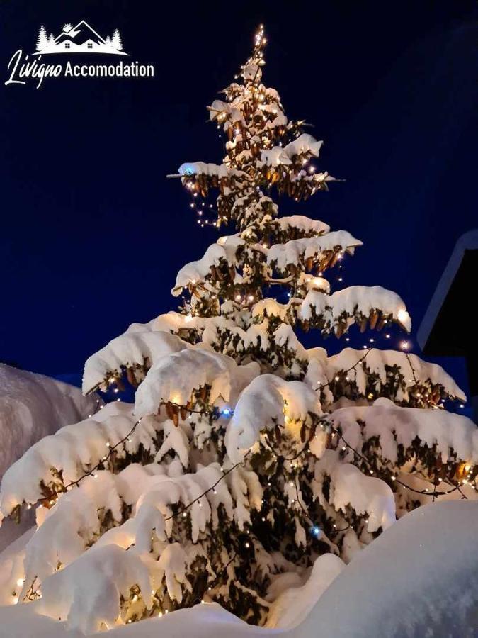 Alpen Royal By Livigno Accomodation Dış mekan fotoğraf